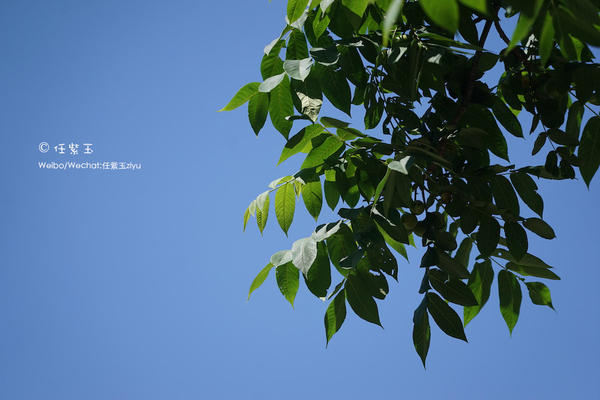 雾灵西峰高山漂流 北京清凉一夏【夏天这样玩】