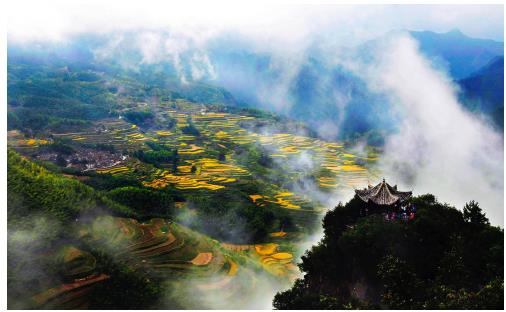 浙江旅游上海吆喝，各种特惠线路、千张门票派送等你来