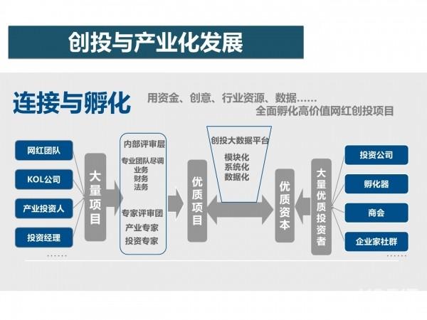 网红经济36