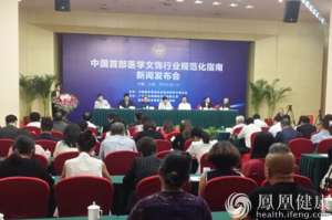 国内首部医学文饰行业规范化指南在京发布