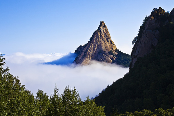 清明去哪玩？细数北京6大春游踏青好地方