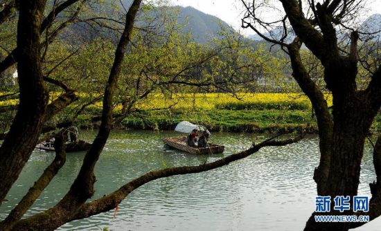 【大美中国】汉中花海美如画