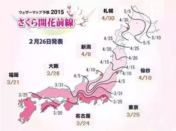 一大波旅行团正在靠近 拿好秘籍避开人潮去日本赏樱花